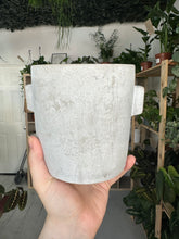 Load image into Gallery viewer, Grey Concrete Ears Pot

