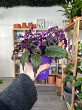 Load image into Gallery viewer, Purple Passion
