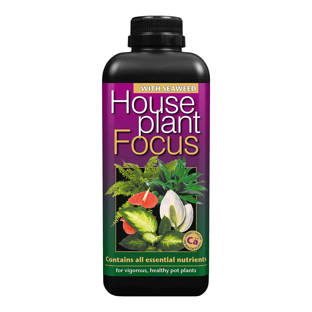 Houseplant Focus Food