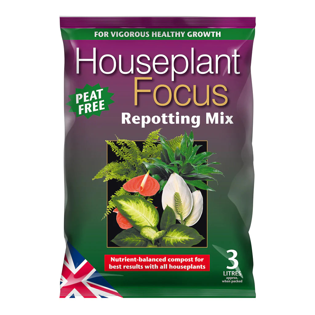 Houseplant Repotting Soil