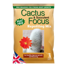 Load image into Gallery viewer, Cactus and Succulent Repotting Soil
