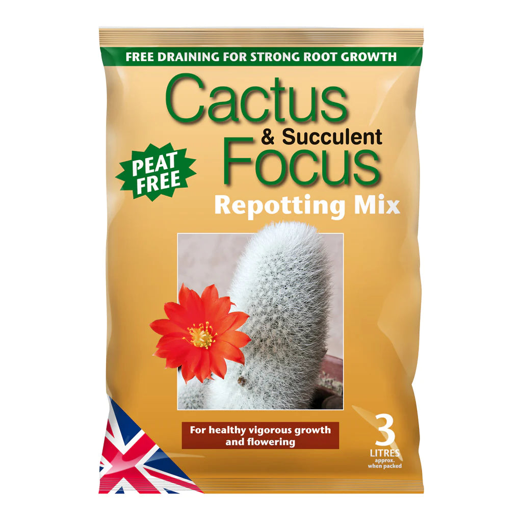 Cactus and Succulent Repotting Soil