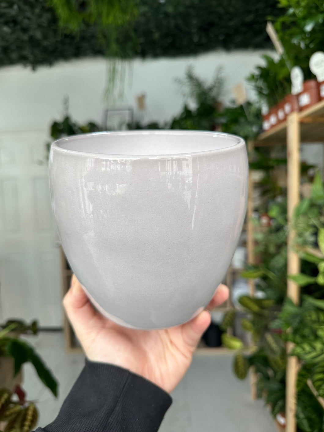 Grey Bowl Pot