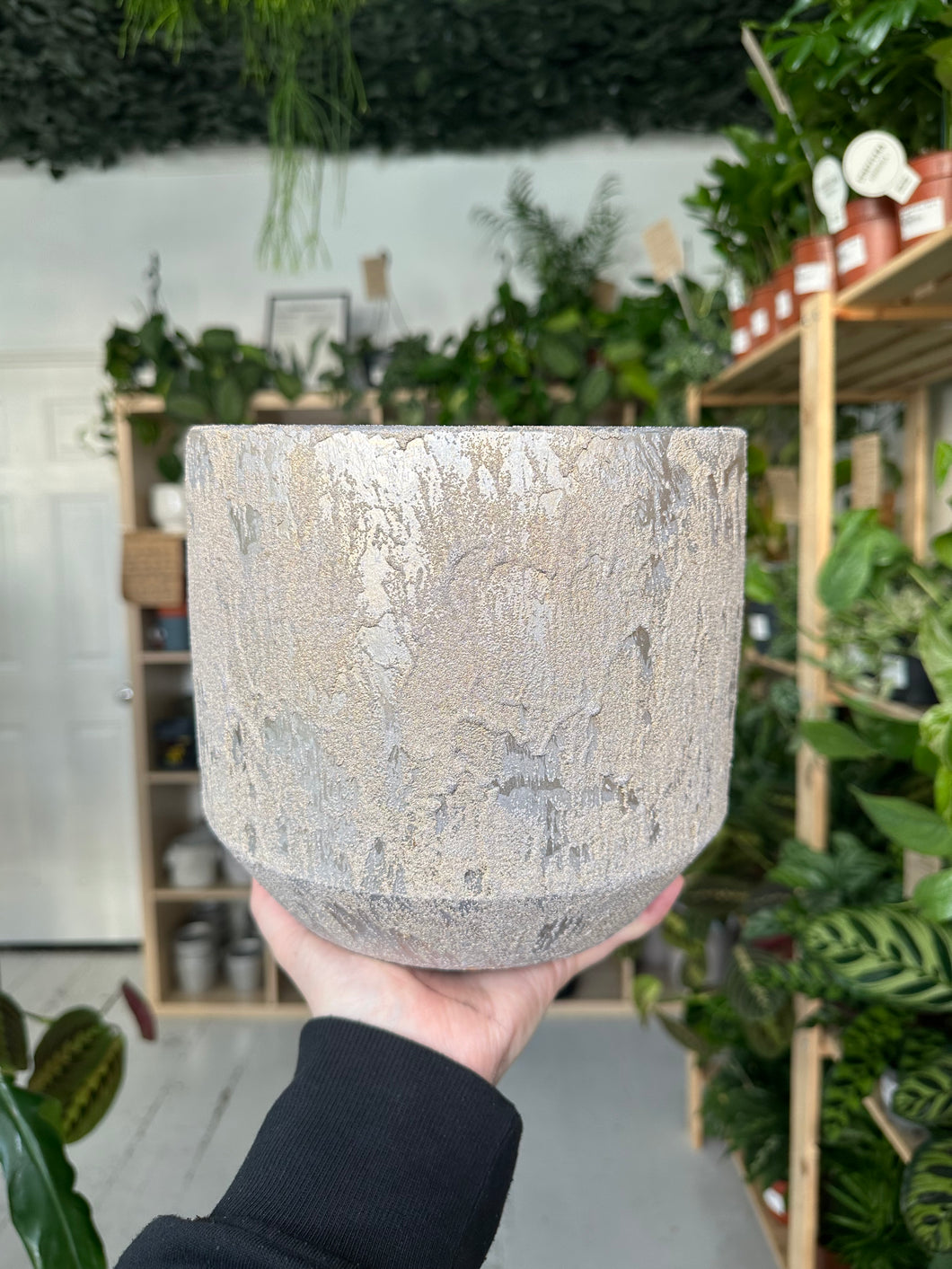 Blushing Pink Pot
